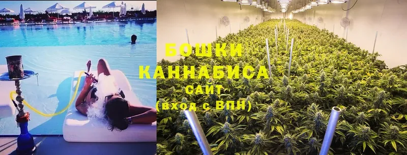 Бошки Шишки OG Kush  купить наркотики сайты  Городовиковск 